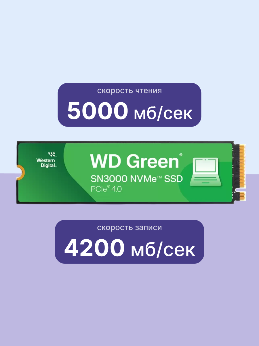 Твердотельные накопители WD WDS100T4G0E