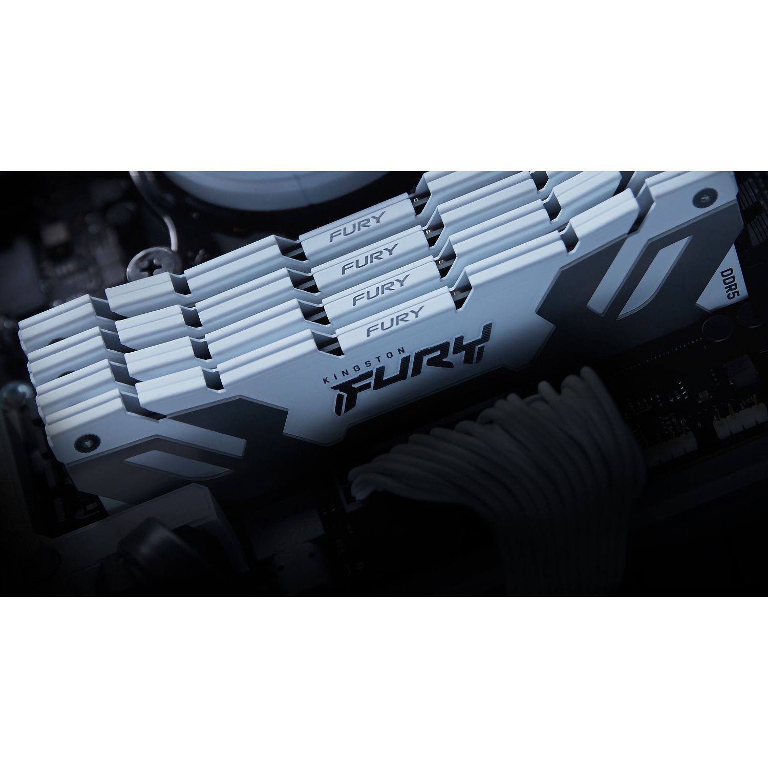 Память оперативная Kingston FURY Renegade KF564C32RW-32